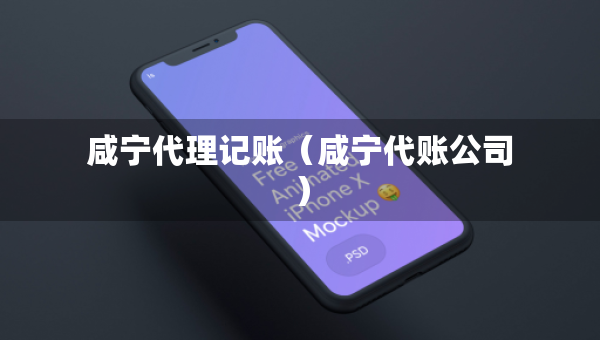 咸寧代理記賬（咸寧代賬公司）