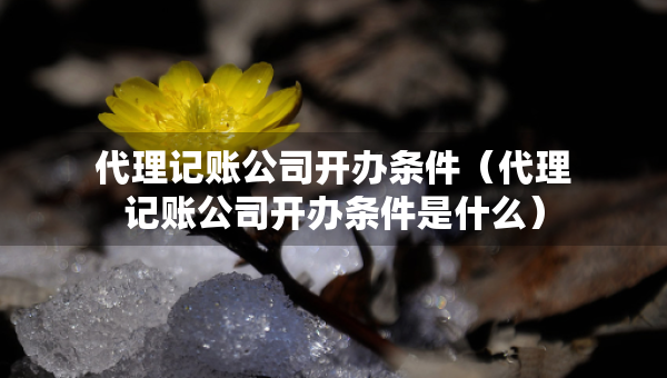 代理記賬公司開辦條件（代理記賬公司開辦條件是什么）