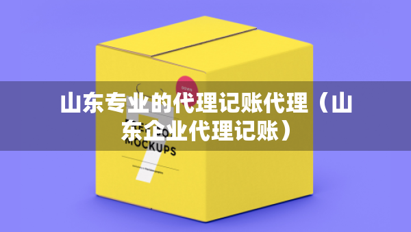 山東專(zhuān)業(yè)的代理記賬代理（山東企業(yè)代理記賬）