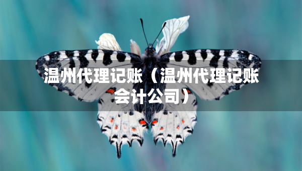 溫州代理記賬（溫州代理記賬會(huì)計(jì)公司）
