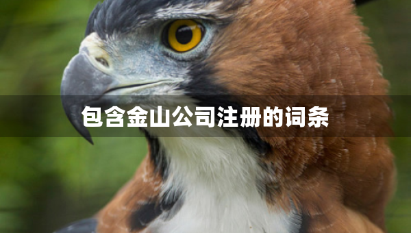 包含金山公司注冊的詞條