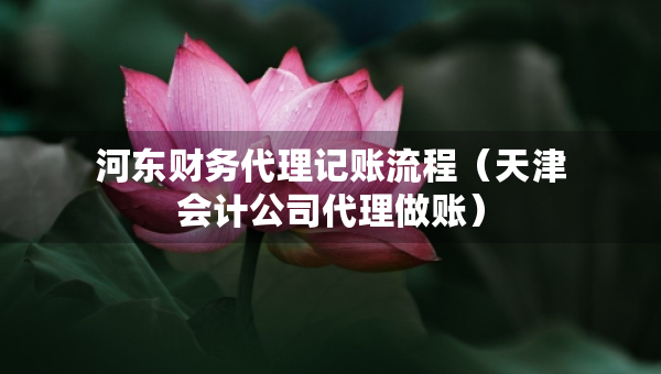 河?xùn)|財(cái)務(wù)代理記賬流程（天津會(huì)計(jì)公司代理做賬）