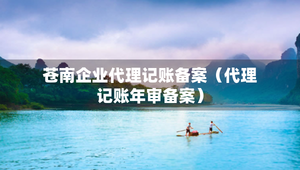 蒼南企業(yè)代理記賬備案（代理記賬年審備案）