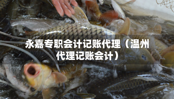 永嘉專(zhuān)職會(huì)計(jì)記賬代理（溫州代理記賬會(huì)計(jì)）