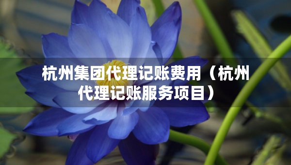 杭州集團(tuán)代理記賬費(fèi)用（杭州代理記賬服務(wù)項(xiàng)目）