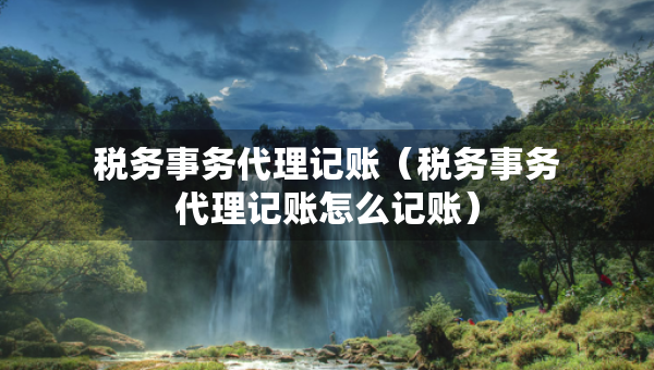 稅務(wù)事務(wù)代理記賬（稅務(wù)事務(wù)代理記賬怎么記賬）
