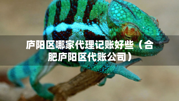 廬陽(yáng)區(qū)哪家代理記賬好些（合肥廬陽(yáng)區(qū)代賬公司）