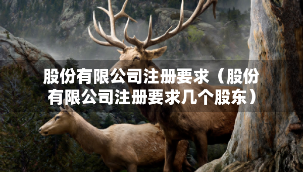股份有限公司注冊要求（股份有限公司注冊要求幾個股東）