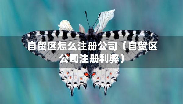 自貿(mào)區(qū)怎么注冊公司（自貿(mào)區(qū)公司注冊利弊）