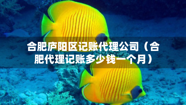 合肥廬陽區(qū)記賬代理公司（合肥代理記賬多少錢一個月）