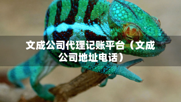 文成公司代理記賬平臺(tái)（文成公司地址電話）