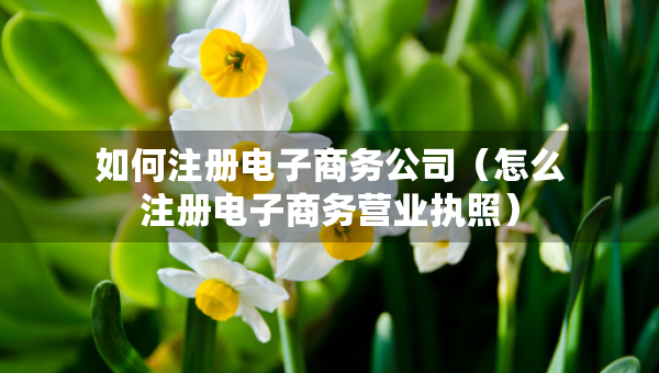 如何注冊電子商務(wù)公司（怎么注冊電子商務(wù)營業(yè)執(zhí)照）