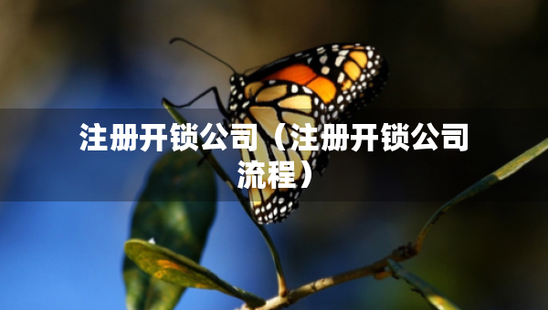 注冊開鎖公司（注冊開鎖公司流程）