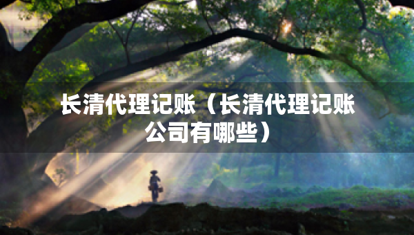 長清代理記賬（長清代理記賬公司有哪些）