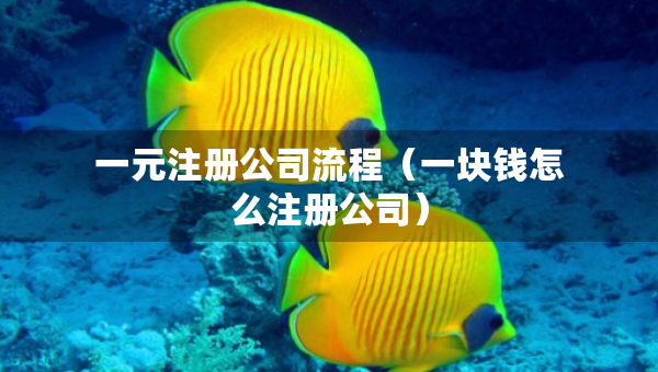 一元注冊公司流程（一塊錢怎么注冊公司）