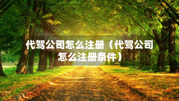 代駕公司怎么注冊（代駕公司怎么注冊條件）