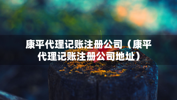 康平代理記賬注冊(cè)公司（康平代理記賬注冊(cè)公司地址）