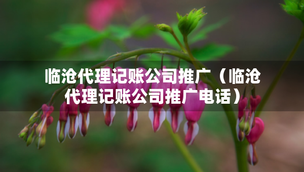 臨滄代理記賬公司推廣（臨滄代理記賬公司推廣電話）