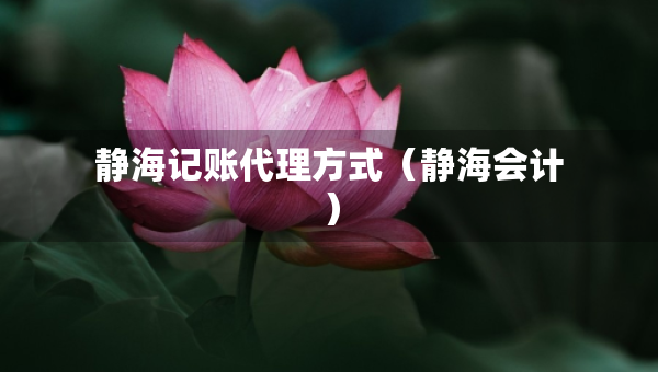 靜海記賬代理方式（靜海會計）