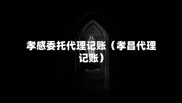 孝感委托代理記賬（孝昌代理記賬）
