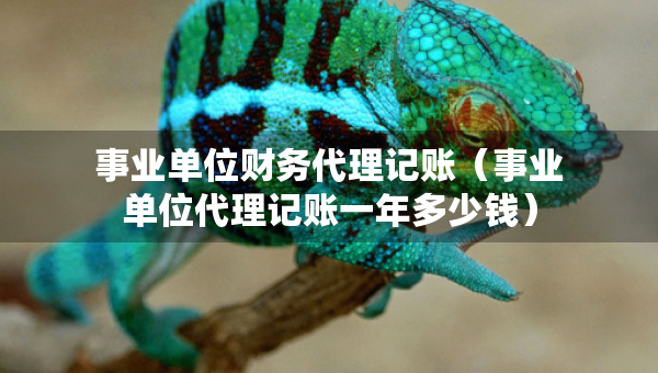 事業(yè)單位財(cái)務(wù)代理記賬（事業(yè)單位代理記賬一年多少錢）