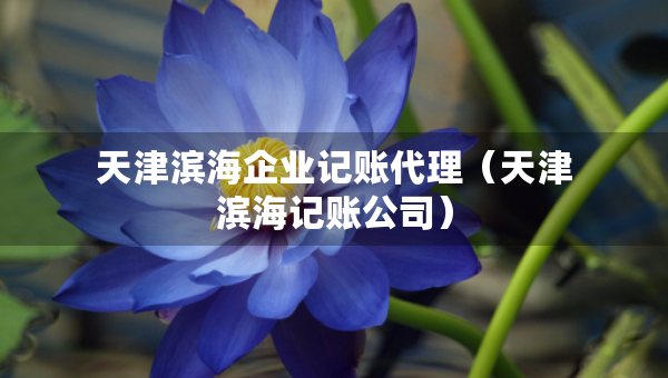 天津濱海企業(yè)記賬代理（天津濱海記賬公司）