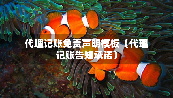 代理記賬免責(zé)聲明模板（代理記賬告知承諾）