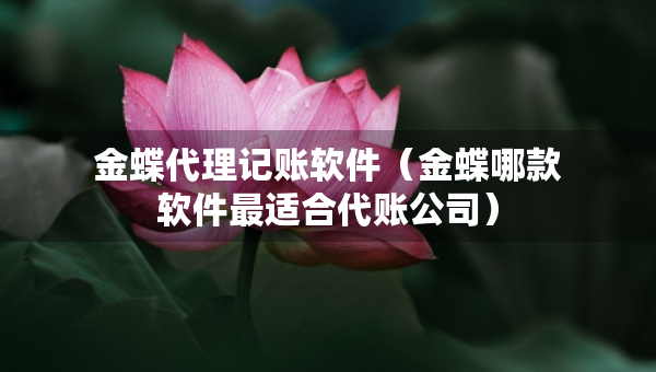 金蝶代理記賬軟件（金蝶哪款軟件最適合代賬公司）