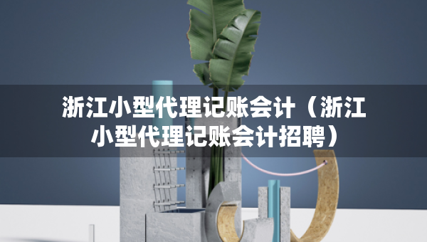 浙江小型代理記賬會計（浙江小型代理記賬會計招聘）