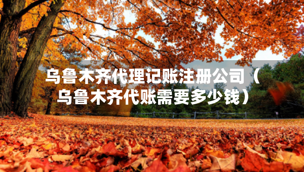 烏魯木齊代理記賬注冊公司（烏魯木齊代賬需要多少錢）