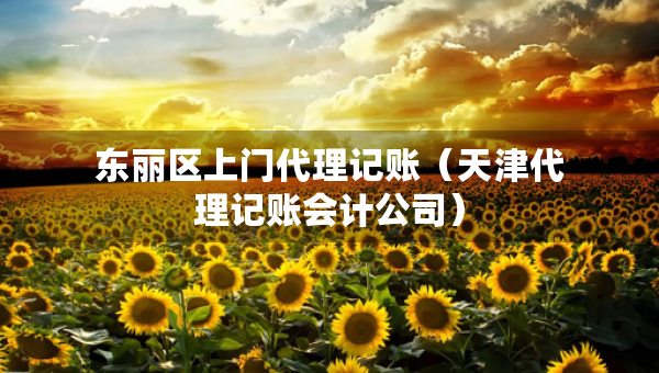 東麗區(qū)上門代理記賬（天津代理記賬會(huì)計(jì)公司）