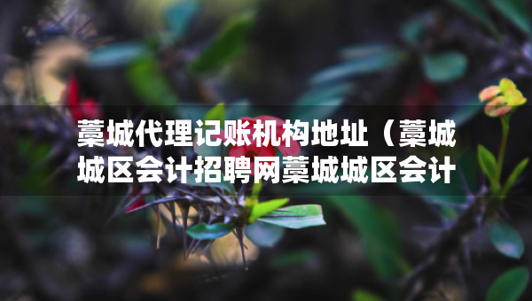 藁城代理記賬機構(gòu)地址（藁城城區(qū)會計招聘網(wǎng)藁城城區(qū)會計師招聘信息）