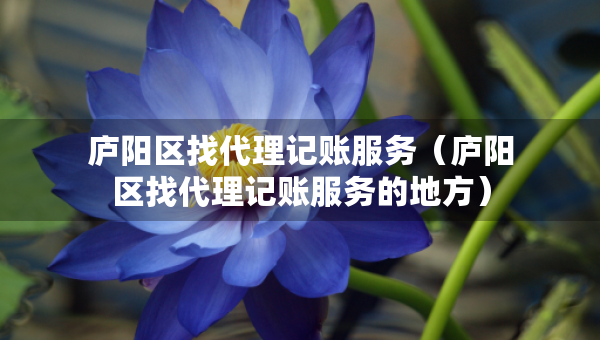廬陽(yáng)區(qū)找代理記賬服務(wù)（廬陽(yáng)區(qū)找代理記賬服務(wù)的地方）