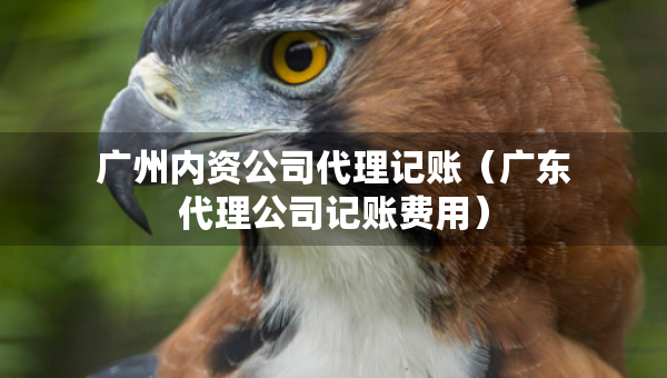 廣州內(nèi)資公司代理記賬（廣東代理公司記賬費用）