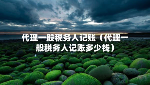 代理一般稅務(wù)人記賬（代理一般稅務(wù)人記賬多少錢）