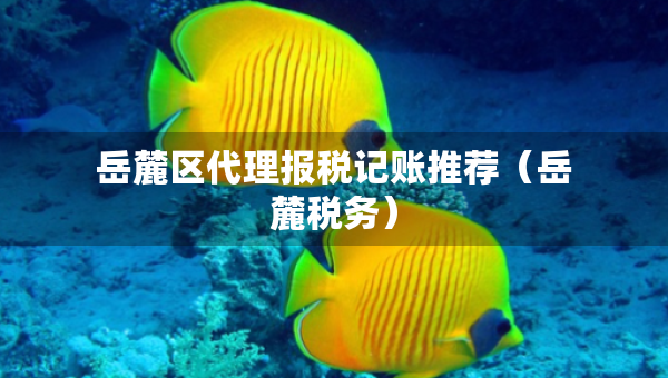 岳麓區(qū)代理報稅記賬推薦（岳麓稅務）
