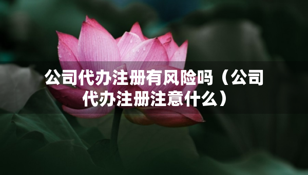 公司代辦注冊(cè)有風(fēng)險(xiǎn)嗎（公司代辦注冊(cè)注意什么）