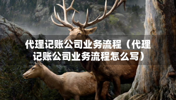 代理記賬公司業(yè)務流程（代理記賬公司業(yè)務流程怎么寫）
