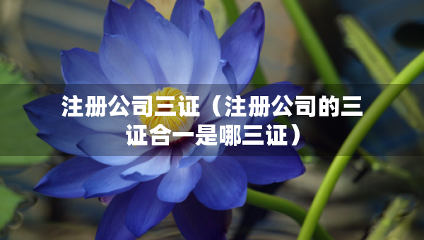 注冊公司三證（注冊公司的三證合一是哪三證）