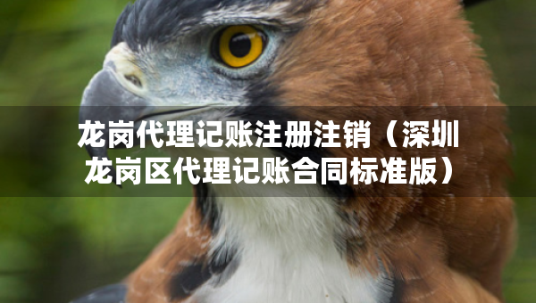 龍崗代理記賬注冊注銷（深圳龍崗區(qū)代理記賬合同標準版）