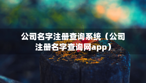 公司名字注冊查詢系統(tǒng)（公司注冊名字查詢網(wǎng)app）