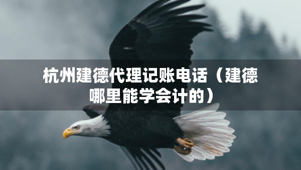 杭州建德代理記賬電話（建德哪里能學會計的）