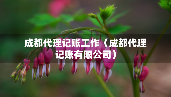 成都代理記賬工作（成都代理記賬有限公司）