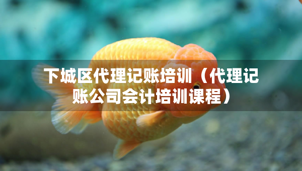 下城區(qū)代理記賬培訓(xùn)（代理記賬公司會計培訓(xùn)課程）