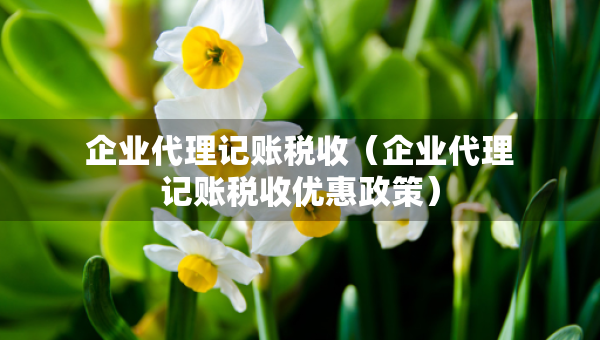 企業(yè)代理記賬稅收（企業(yè)代理記賬稅收優(yōu)惠政策）