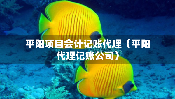 平陽(yáng)項(xiàng)目會(huì)計(jì)記賬代理（平陽(yáng)代理記賬公司）