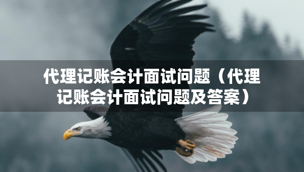 代理記賬會計面試問題（代理記賬會計面試問題及答案）