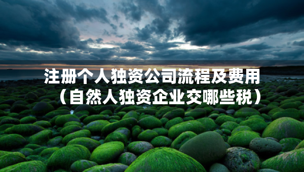 注冊個人獨資公司流程及費用（自然人獨資企業(yè)交哪些稅）