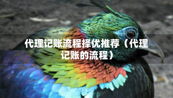 代理記賬流程擇優(yōu)推薦（代理記賬的流程）