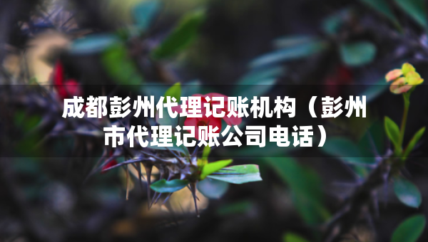 成都彭州代理記賬機(jī)構(gòu)（彭州市代理記賬公司電話）